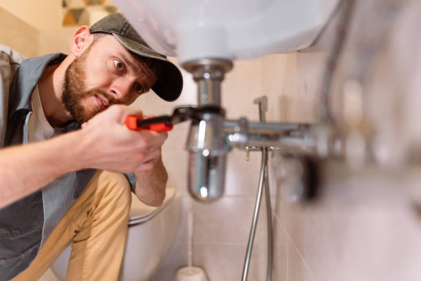 Best Local Plumber Services  in Zephyrhills North, FL