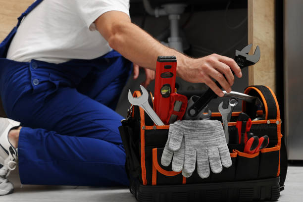 Best Same-Day Plumbing Service  in Zephyrhills North, FL