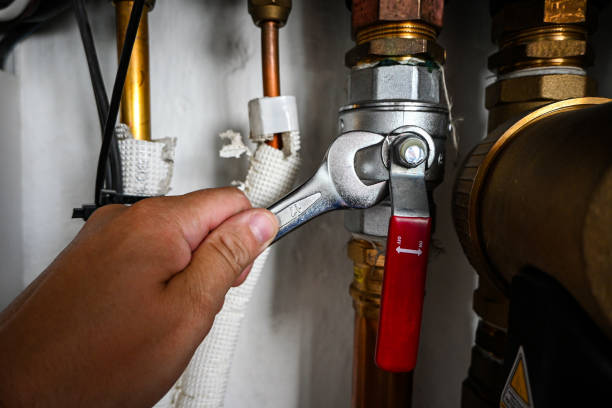 Best Plumbing Inspection Services  in Zephyrhills North, FL